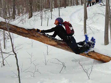 Betsey Thomas-Train Snowshoes Trees!